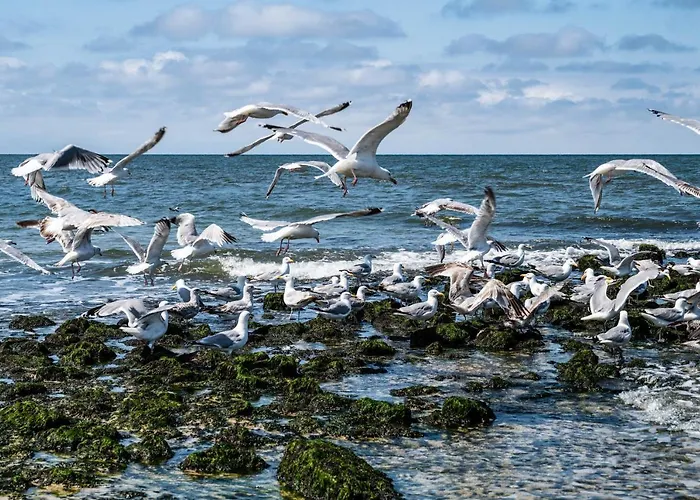 Lägenhet Wohnung Studio